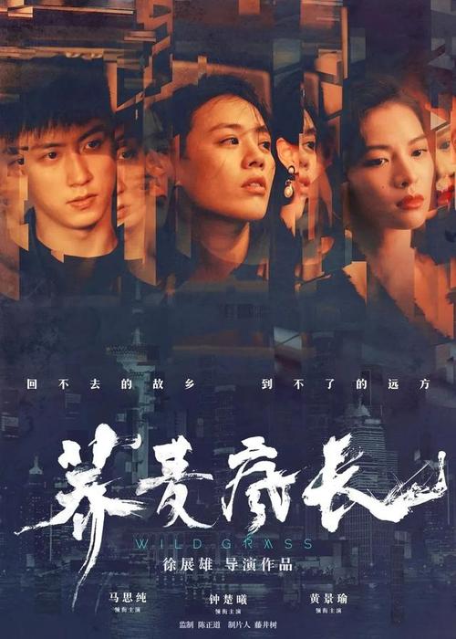 特兰托音乐学院国际商务文凭证书